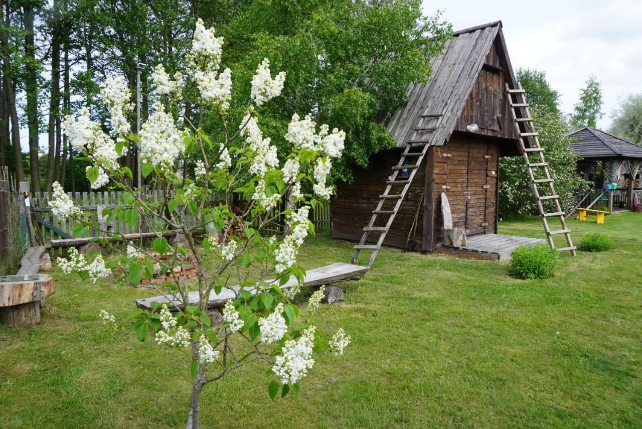 Pie Andra Pitraga Hotel Pitrags Kültér fotó