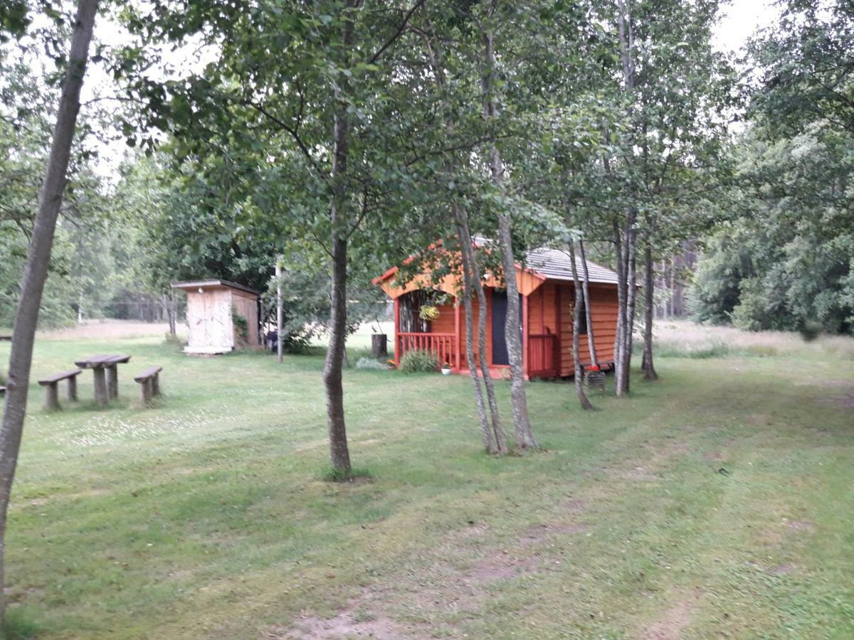 Pie Andra Pitraga Hotel Pitrags Kültér fotó