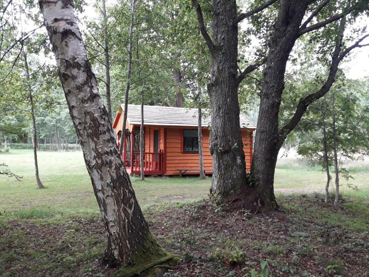 Pie Andra Pitraga Hotel Pitrags Kültér fotó
