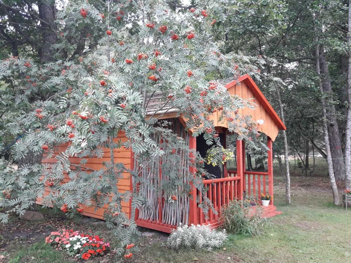 Pie Andra Pitraga Hotel Pitrags Kültér fotó